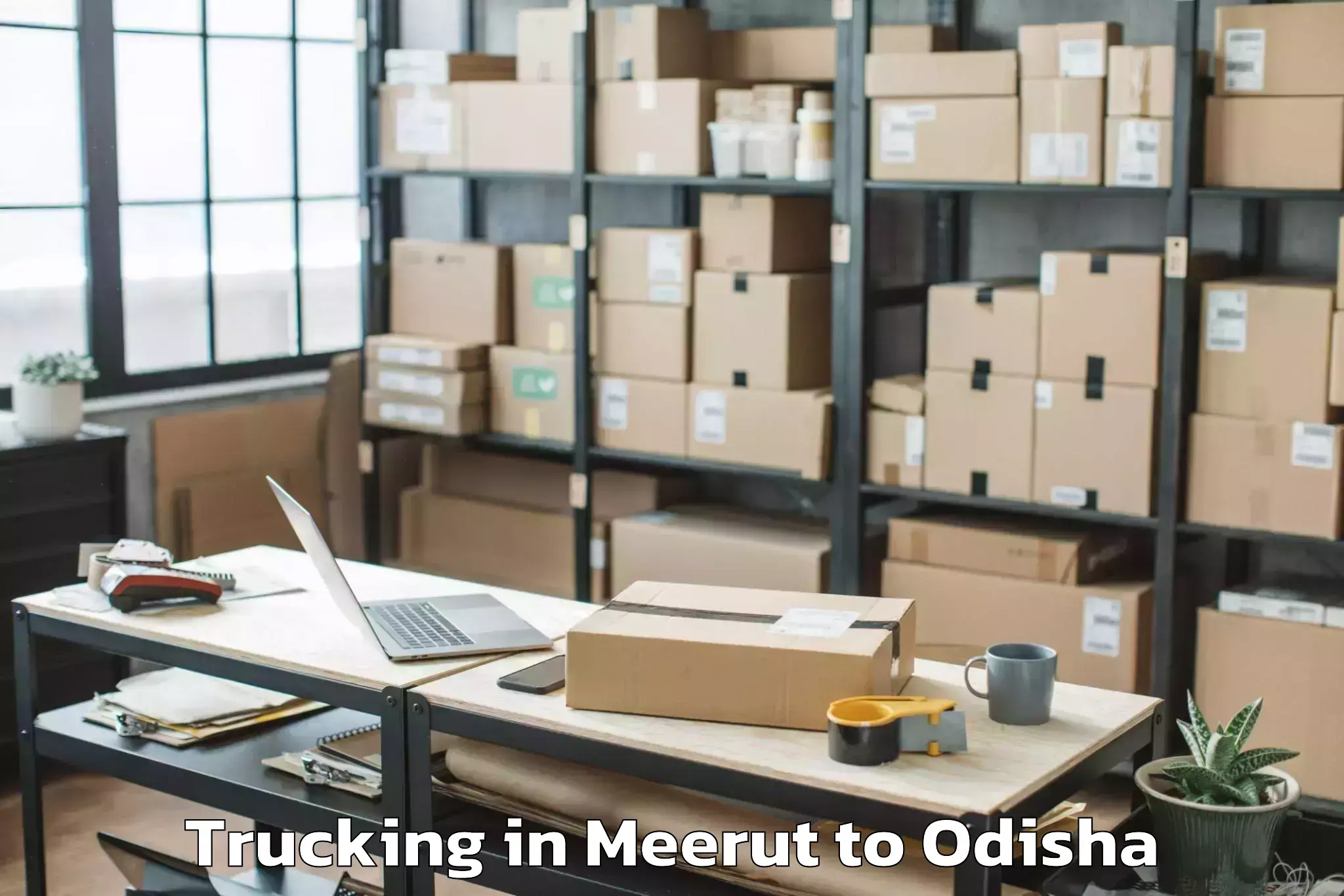 Leading Meerut to Padampur Bargarh Trucking Provider